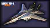 f14-g-small.jpg